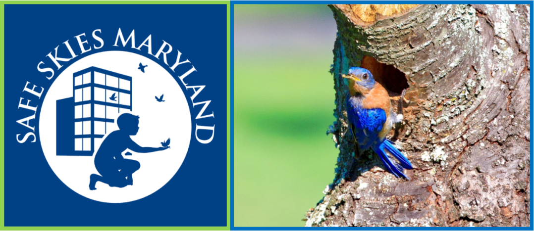 collision grouping 6