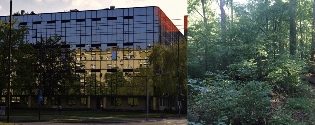 collision grouping 10