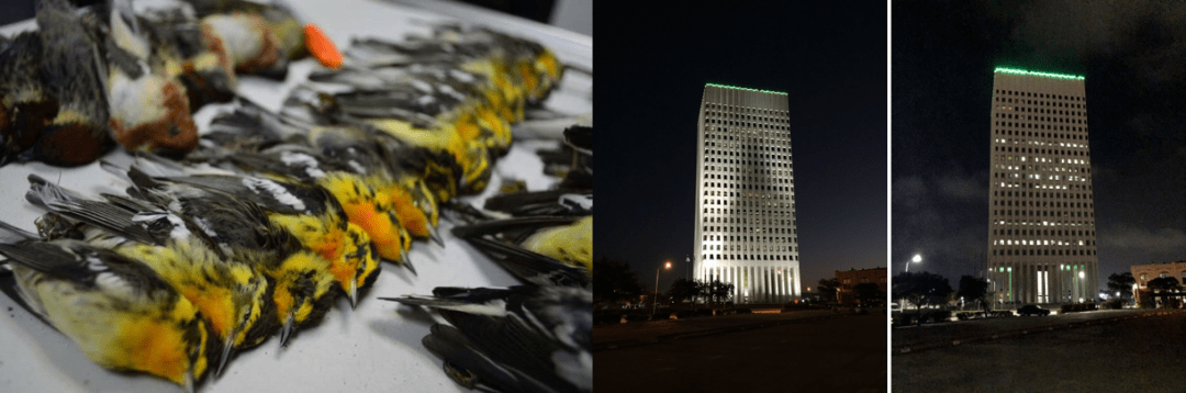 collision grouping 11